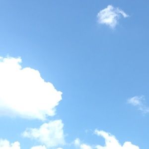 Meet your Posher, Shane